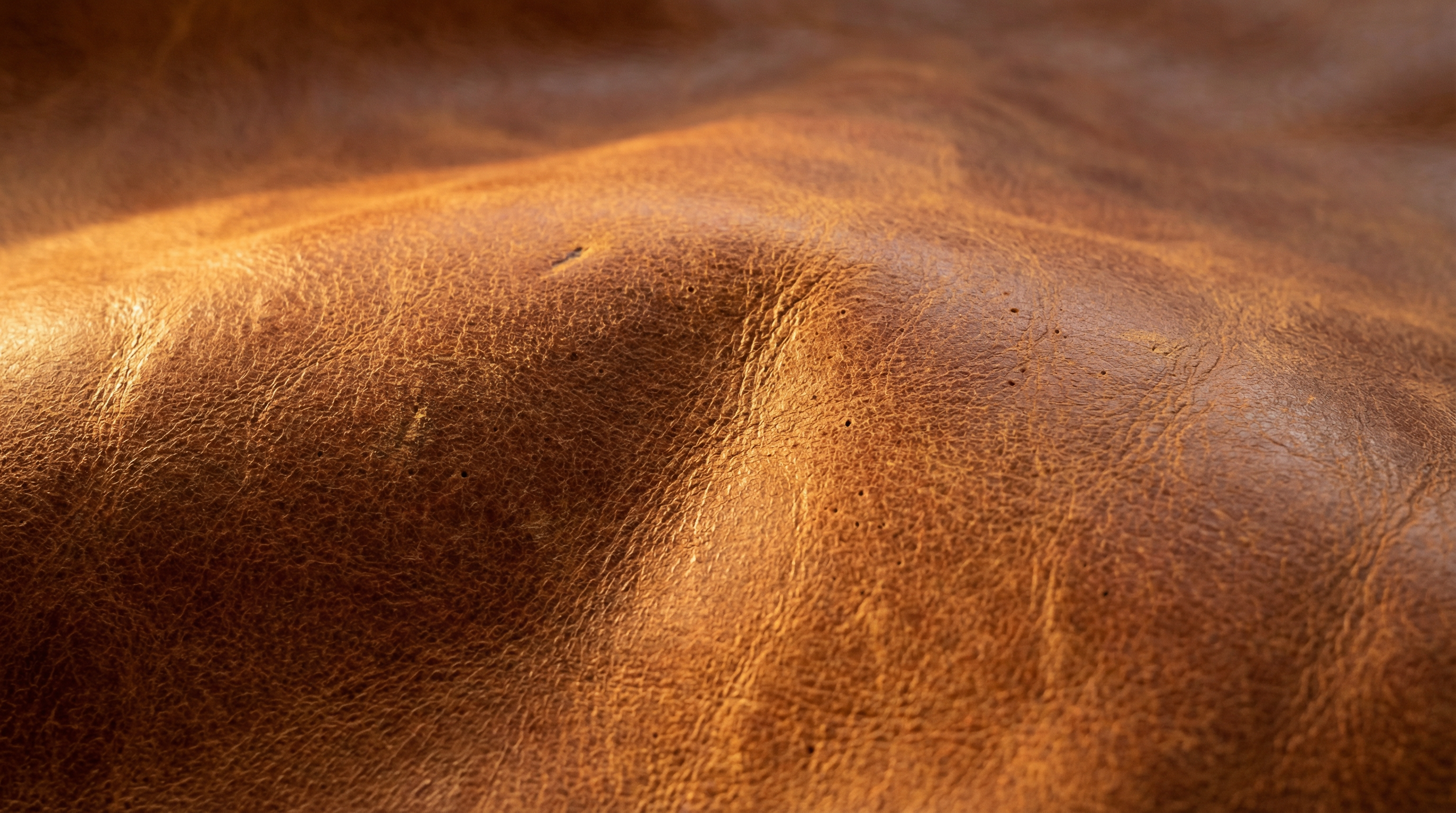 Cuir pleine fleur — sellerie luxe Neriah Paris