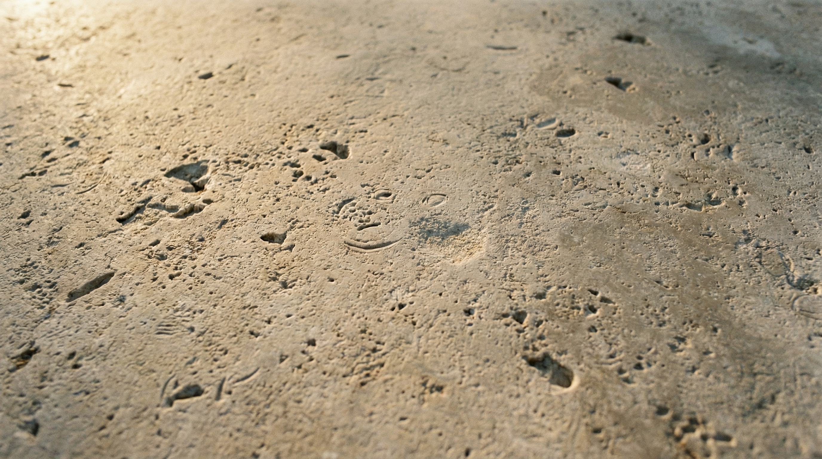 Pierre naturelle — revêtement sol mur Neriah Paris